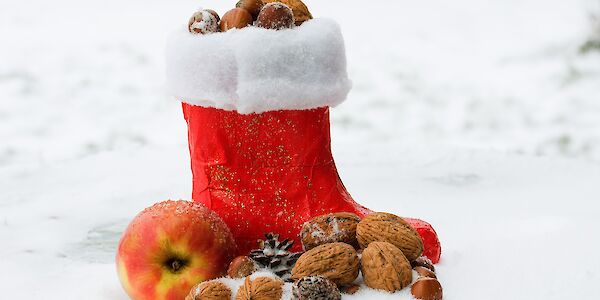 Der heilige Nikolaus kommt nach Kaumberg