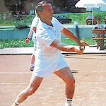 Bild 11 von 