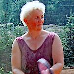 Bild 12 von 
