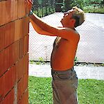 Bild 5 von 