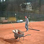 Bild 12 von 