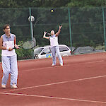 Bild 2 von 