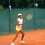 Bild 7 von 