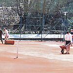 Bild 2 von 