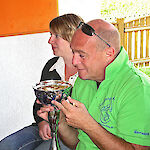 Bild 17 von 