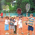 Bild 3 von 