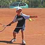 Bild 6 von 