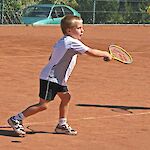 Bild 11 von 