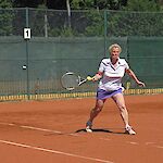 Bild 31 von 