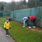 Bild 9 von 