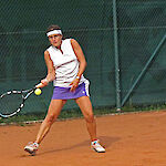 Bild 5 von 