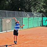 Bild 3 von 