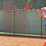 Bild 3 von 