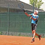 Bild 7 von 