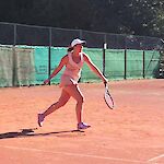 Bild 10 von 