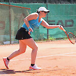 Bild 11 von 